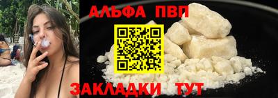 хмурый Кингисепп